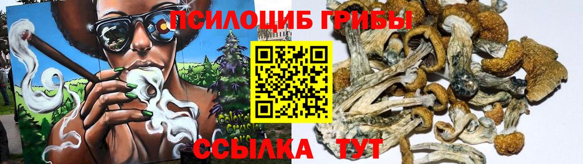 Галлюциногенные грибы MAGIC MUSHROOMS  Вход с VPN  Батайск 