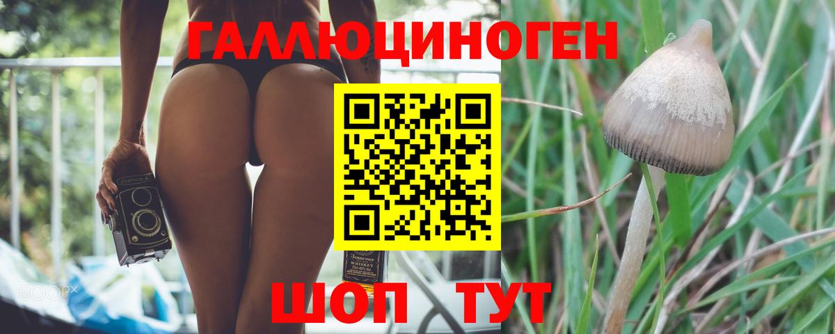 Галлюциногенные грибы ЛСД Батайск
